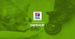 Campaña de trafico hill's